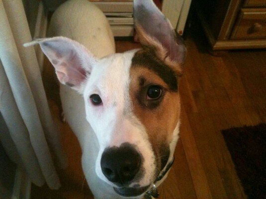 249139_10201349774810521_1717188235_n