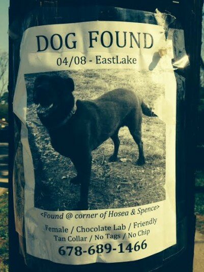 dogfound