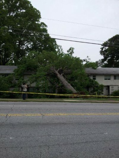 treedown