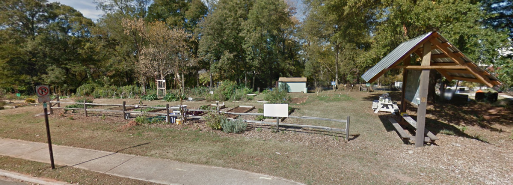 dhscommunity garden