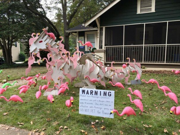 flamingo attack
