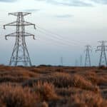 « Une volonté purement financière » : en Camargue, l’État valide une ligne électrique au détriment des oiseaux