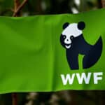 « Le WWF est né du racisme, du colonialisme et du capitalisme »