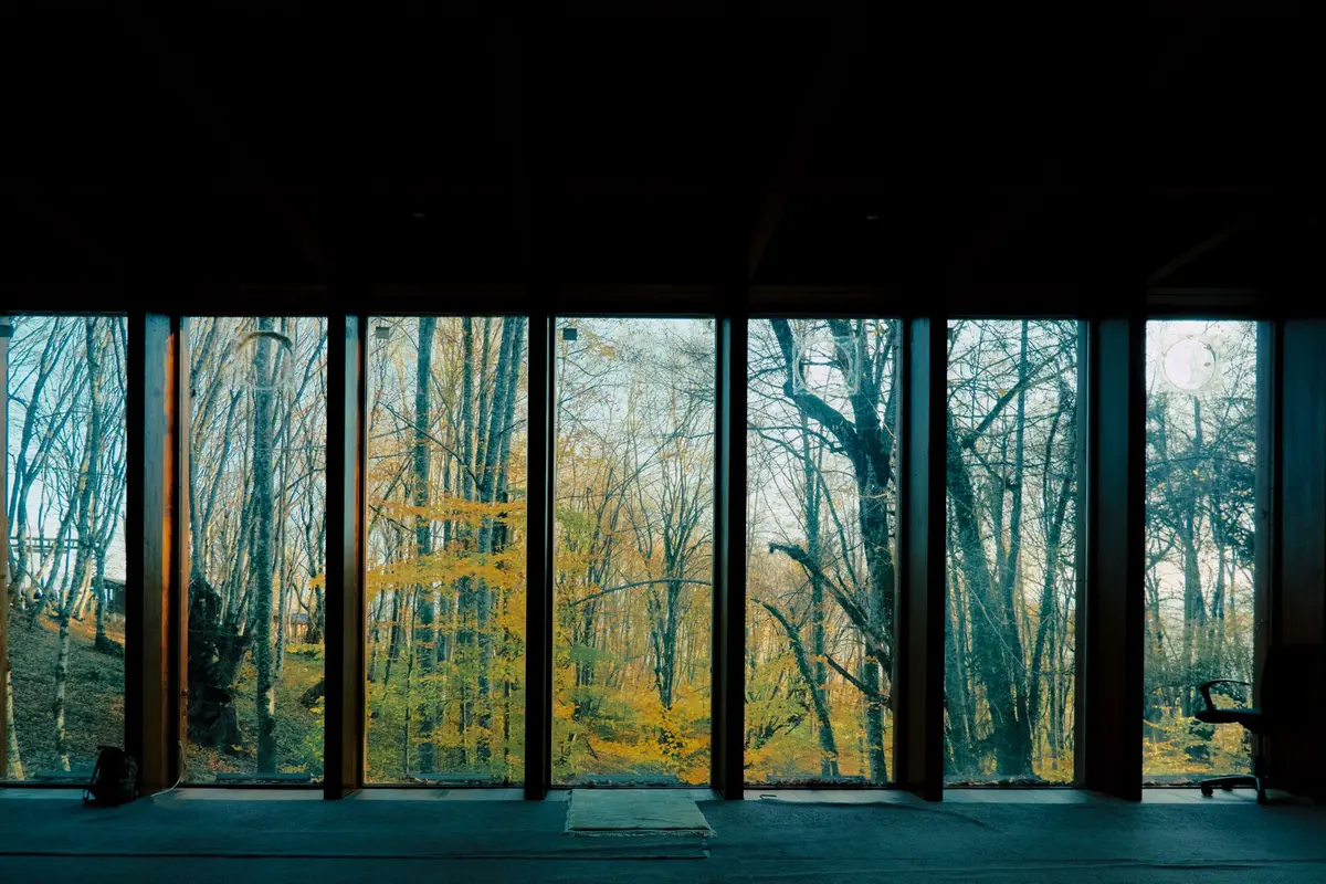 A room's wall color appearing different in morning light versus evening, showing how daylight affects color perception