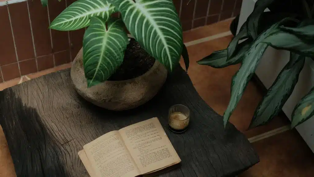 Modern interior space with warm earth-toned walls, natural textures, and layered greenery creating a calming, nature-ins