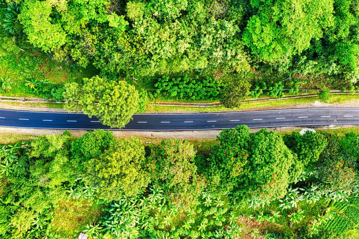 Route ou infrastructure divisant un paysage naturel en petits fragments isolés