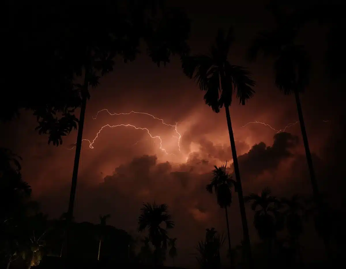 Dramatic lightning strikes over a vast tropical lake surrounded by dense rainforest