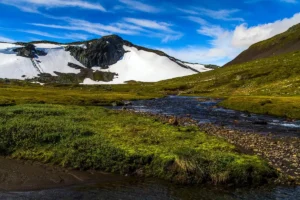 Arktisk landskap vid solnedgång med skogsbevuxen terräng, älv och snöklädda fjäll i gyllene ljus