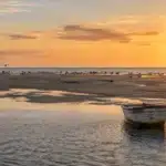 Banc d'Arguin sandbar in the Arcachon basin could be submerged, threatening seabird nests