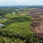 The world must triple efforts to restore ecosystems
